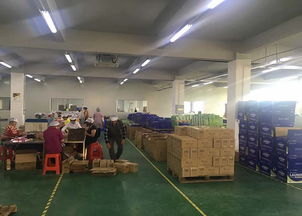 聚壹生物 商丘洗衣片代加工与信息咨询服务专家